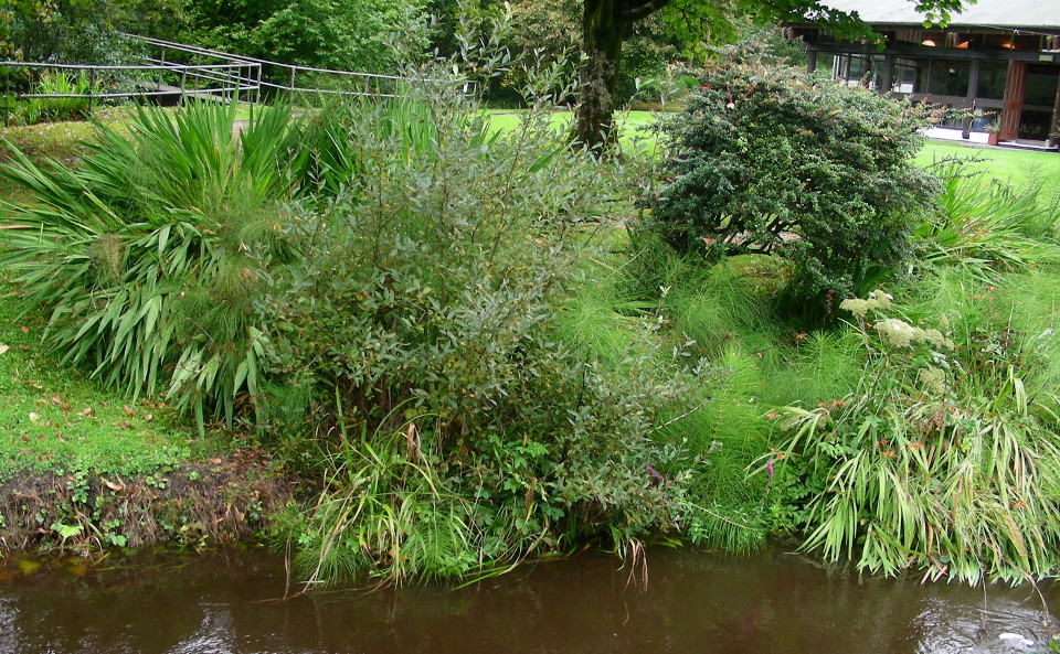 Lisdoonvarna Spa Wells Riverbank