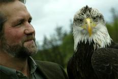Eagles Flying at the Irish Raptor Research Centre