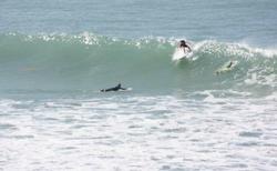 Surfing with 7th Wave Surf School