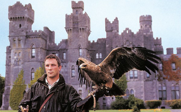 Ireland's School of Falconry