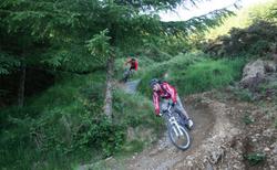 Ballyhoura Mountain Bike Trails