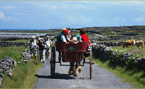 Galway Tour Company