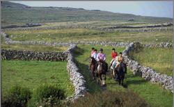 Horse Riding and Equestrian Activities at the Sibin Riding Centre