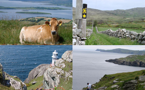 Sheep's Head - Hillside Walks - Walking Tours