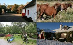 Kerry Bog Village Museum